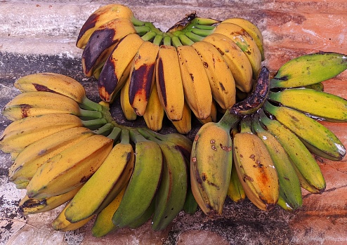 pisang kepok